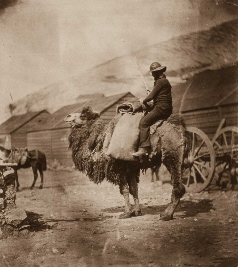 1855: La Guerra de Crimea es el primer conflicto militar jamás fotografiado