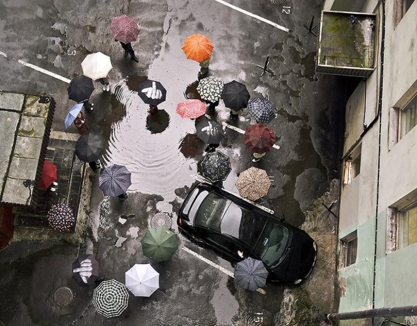 19 Amazing Umbrellas for Fall