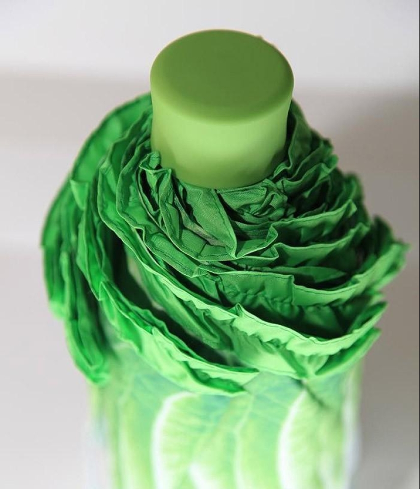 19 Amazing Umbrellas for Fall