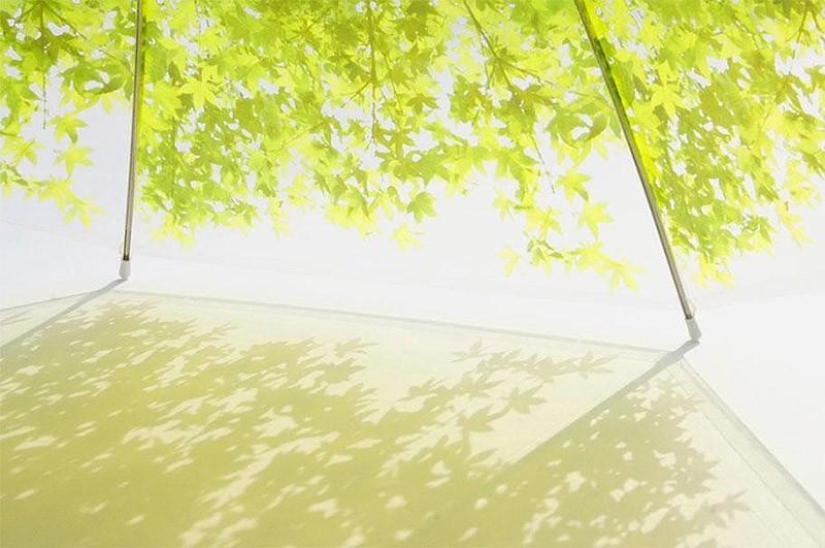 19 Amazing Umbrellas for Fall