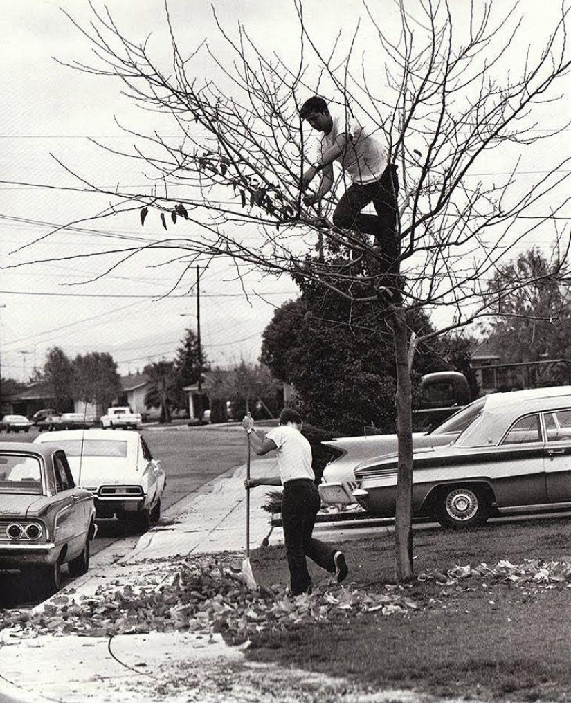 19 Best Photos of American Everyman 19 Best Photos of American Everyman