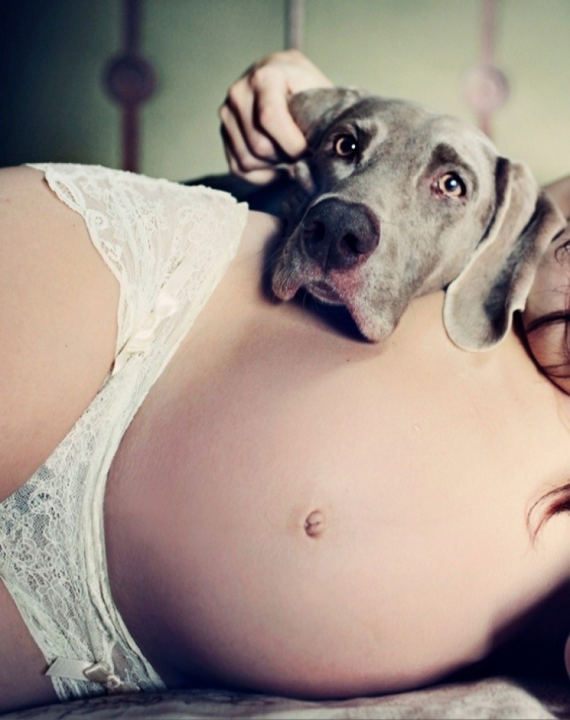 19 Dogs Who Really Look forward to having babies