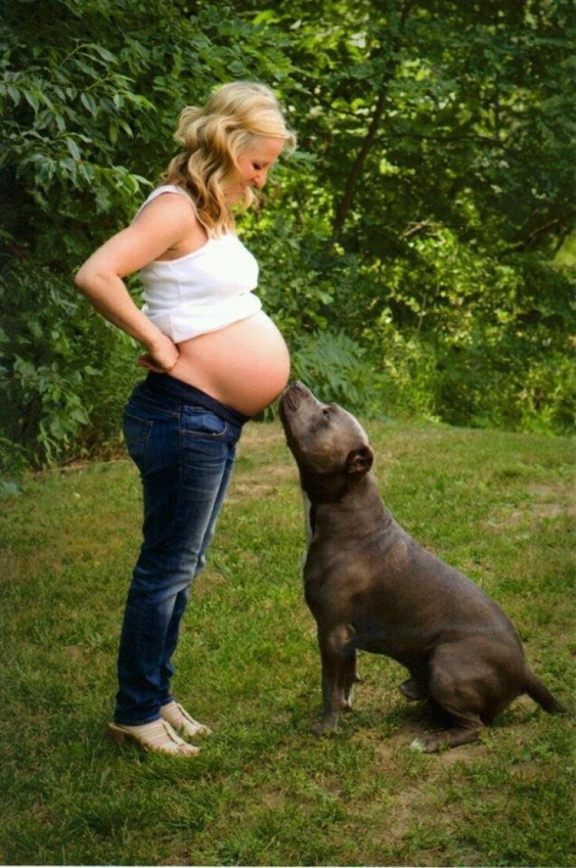 19 Dogs Who Really Look forward to having babies