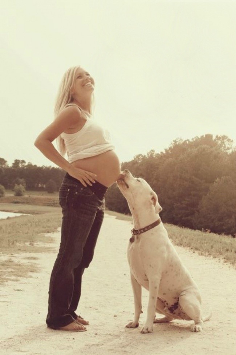 19 Dogs Who Really Look forward to having babies