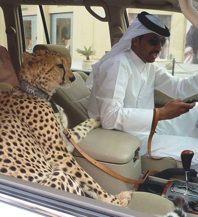19 fenómenos increíbles que solo se pueden ver en Dubai