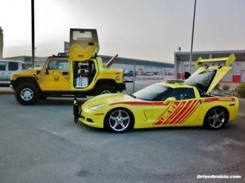 19 incredible phenomena that can only be seen in Dubai 19 incredible phenomena that can only be seen in Dubai