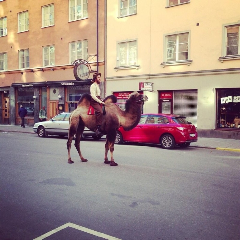 19 Pics Of Hipsters Who Went Too Far!