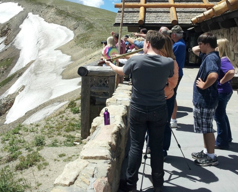 19 Pics Of Hipsters Who Went Too Far!