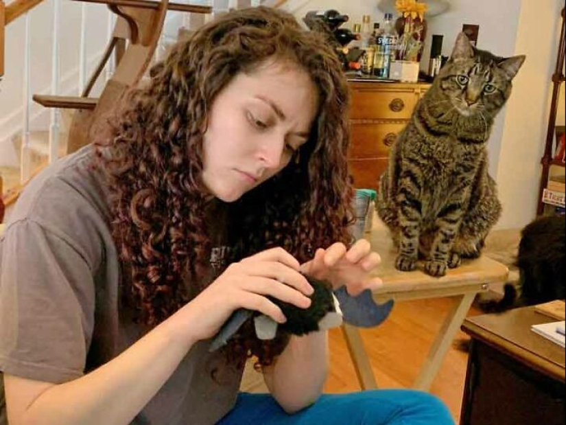 19 Times When Cats Had No Idea How Spoiled They Are 19 Times When Cats Had No Idea How Spoiled They Are