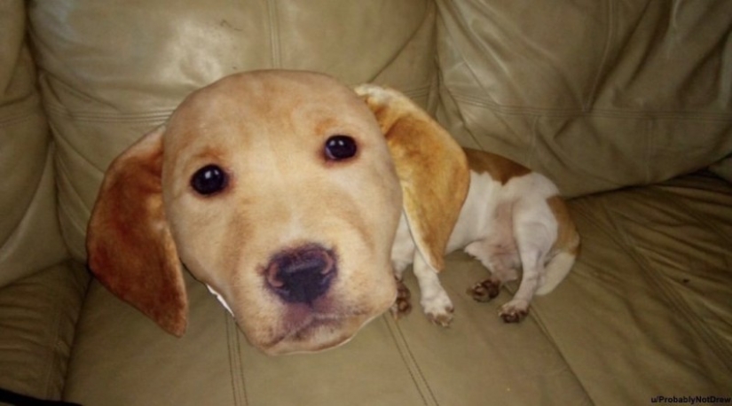 20 controversial family photos, from which I want to laugh, cry and to look at the same