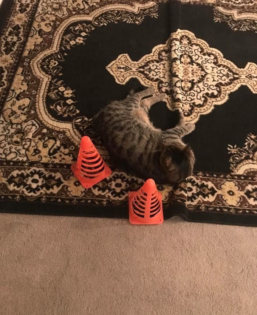 20 controversial family photos, from which I want to laugh, cry and to look at the same