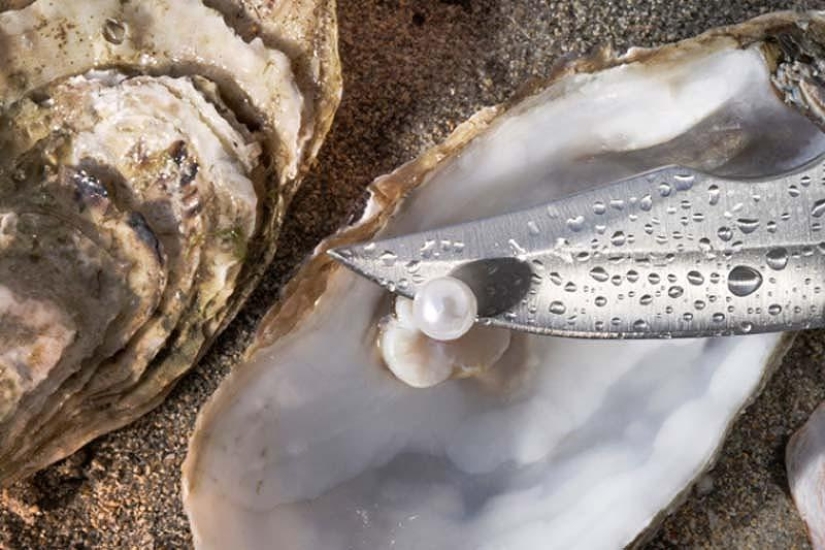 20 datos interesantes sobre la joyería