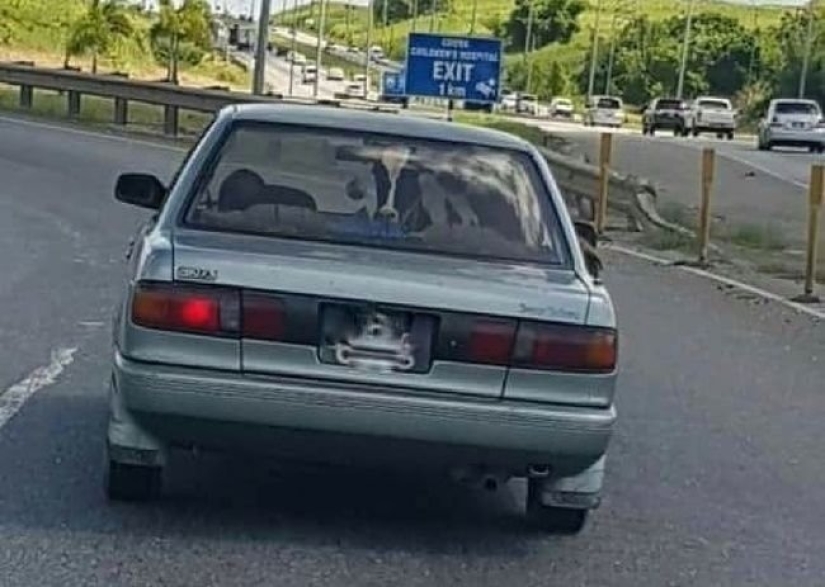 20 fotos en las que hay una especie de caos