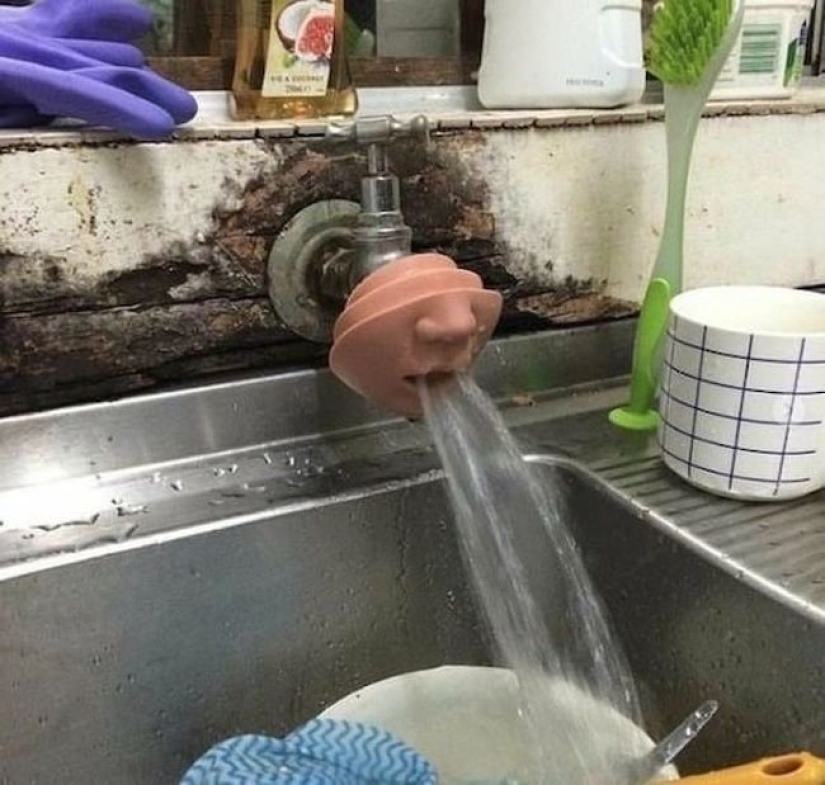 20 fotos en las que hay una especie de caos