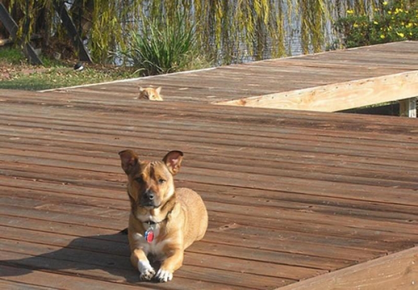 20 fotos más conmovedoras y sinceras sobre la verdadera amistad 20 fotos más conmovedoras y sinceras sobre la verdadera amistad