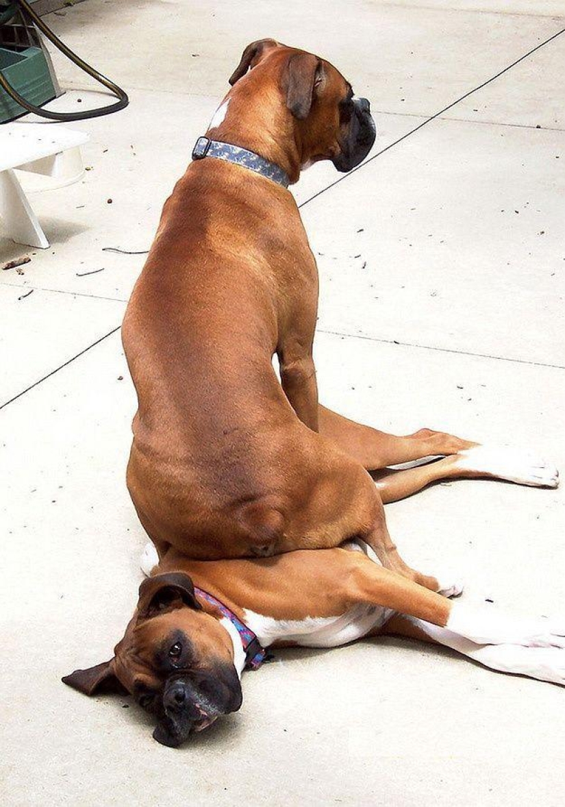 20 fotos más conmovedoras y sinceras sobre la verdadera amistad 20 fotos más conmovedoras y sinceras sobre la verdadera amistad