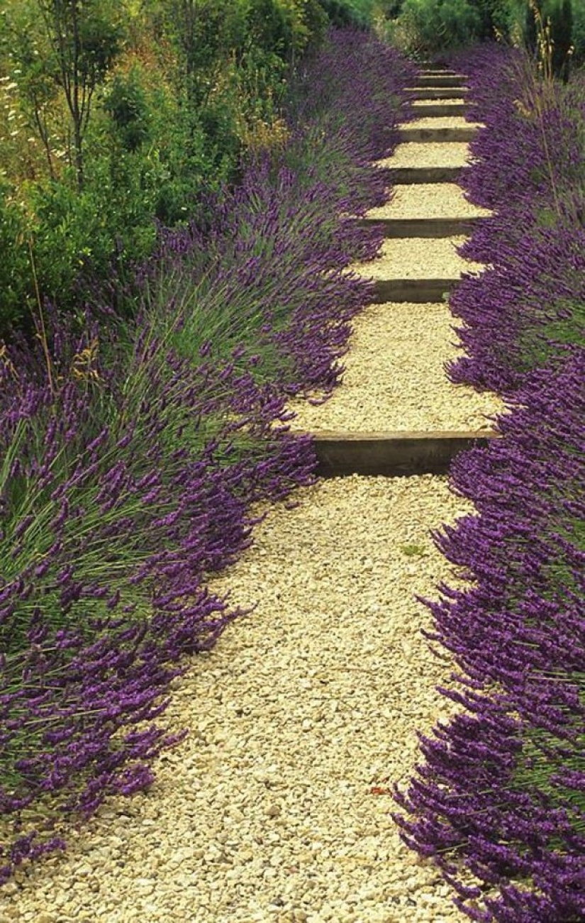 20 Great Garden Path Ideas 20 Great Garden Path Ideas