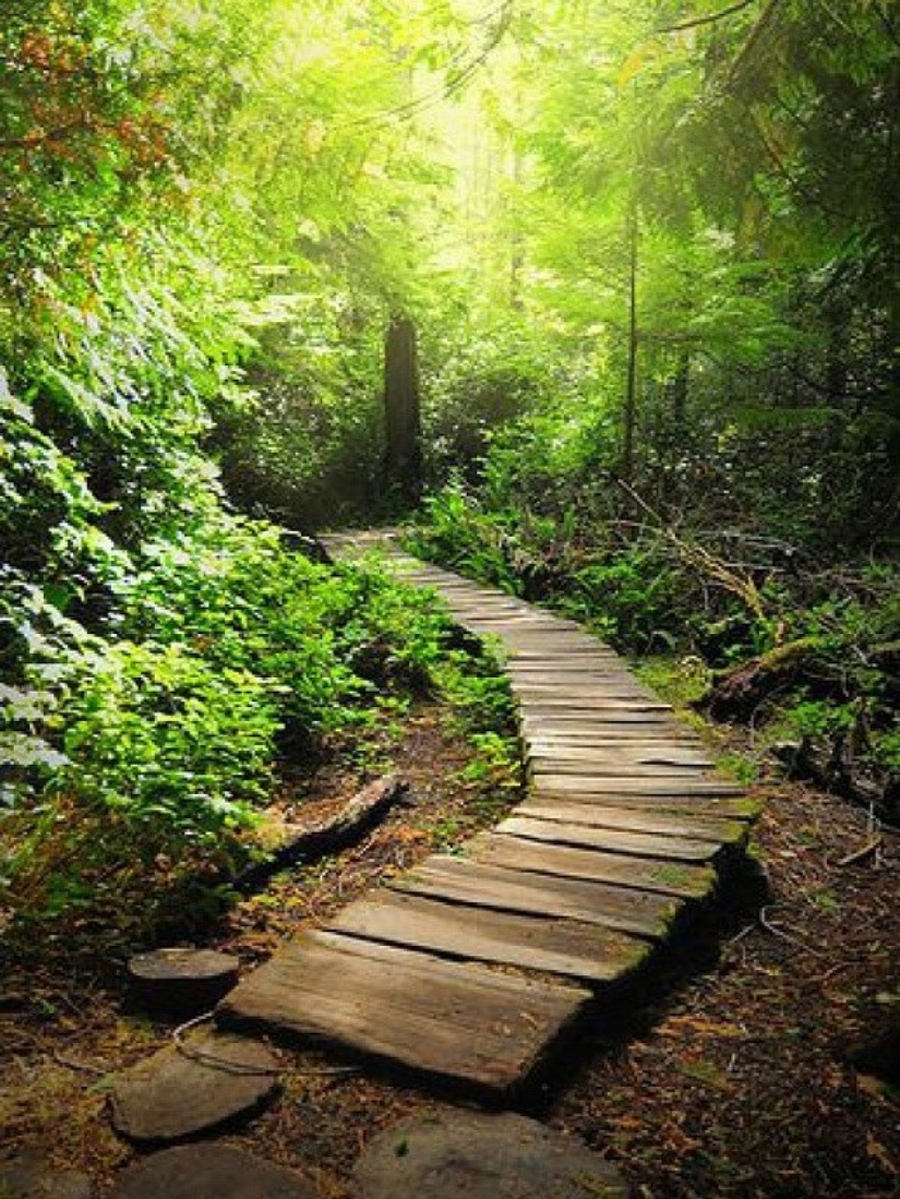 20 Great Garden Path Ideas 20 Great Garden Path Ideas