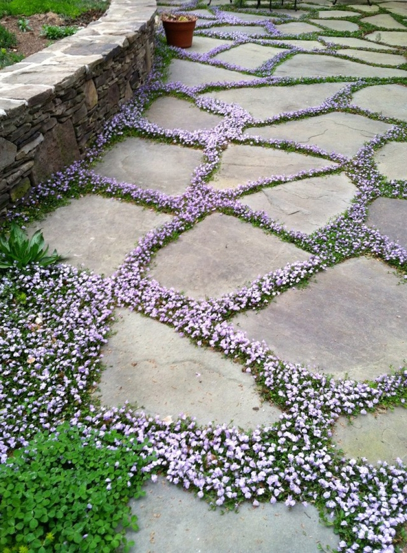 20 Great Garden Path Ideas 20 Great Garden Path Ideas