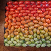 20 ‘Knolling’ Images To Soothe Your OCD Tendencies