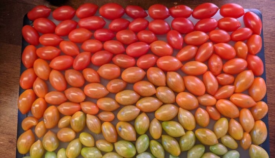 20 ‘Knolling’ Images To Soothe Your OCD Tendencies