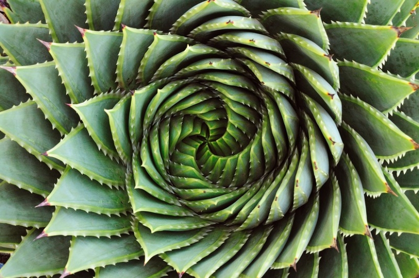 20 moments of transcendent perfection