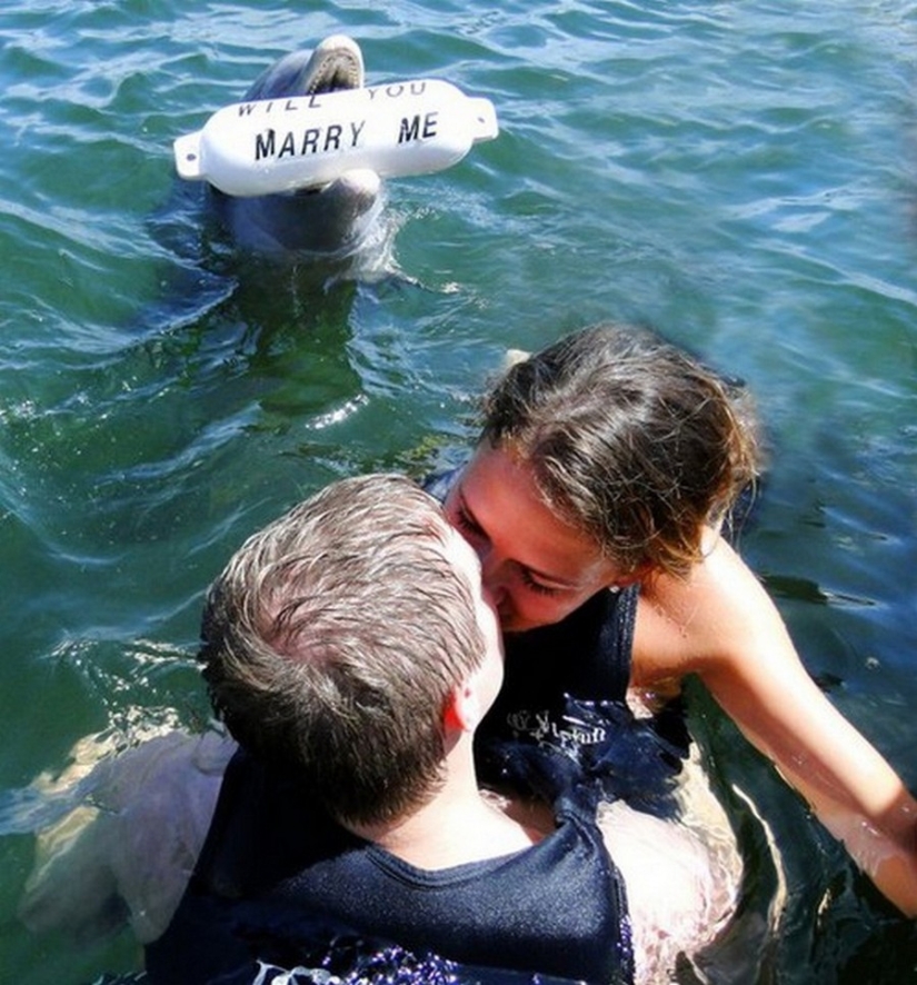 20 most romantic marriage proposals