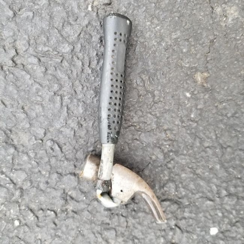 20 photos in which there is some kind of chaos