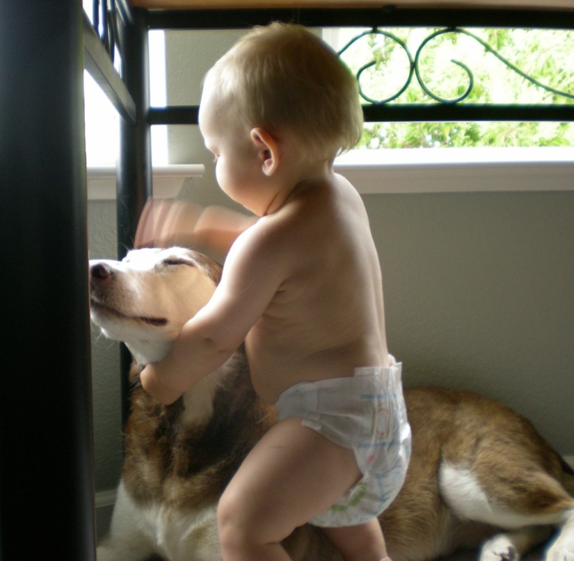 20 Practical Uses for Starch You Never Knew! 20 Practical Uses for Starch You Never Knew!