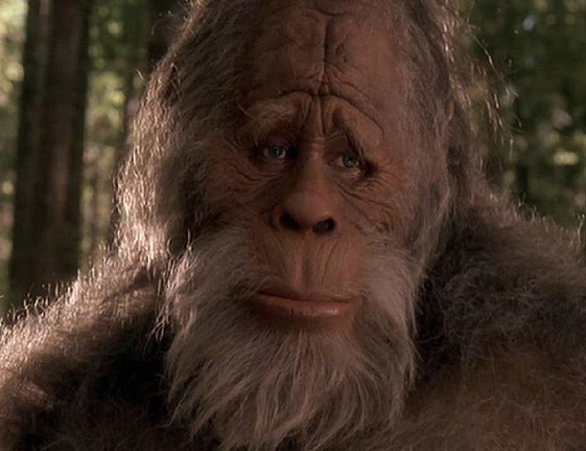 20 signs your beard is too big