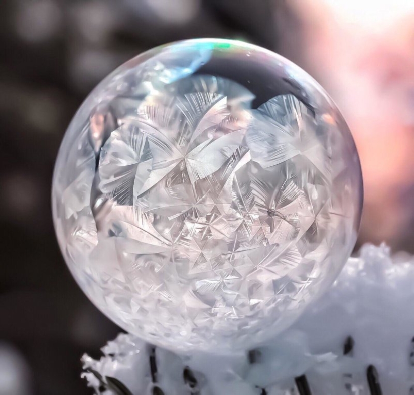 22 fotos que muestran los duros trucos de frost