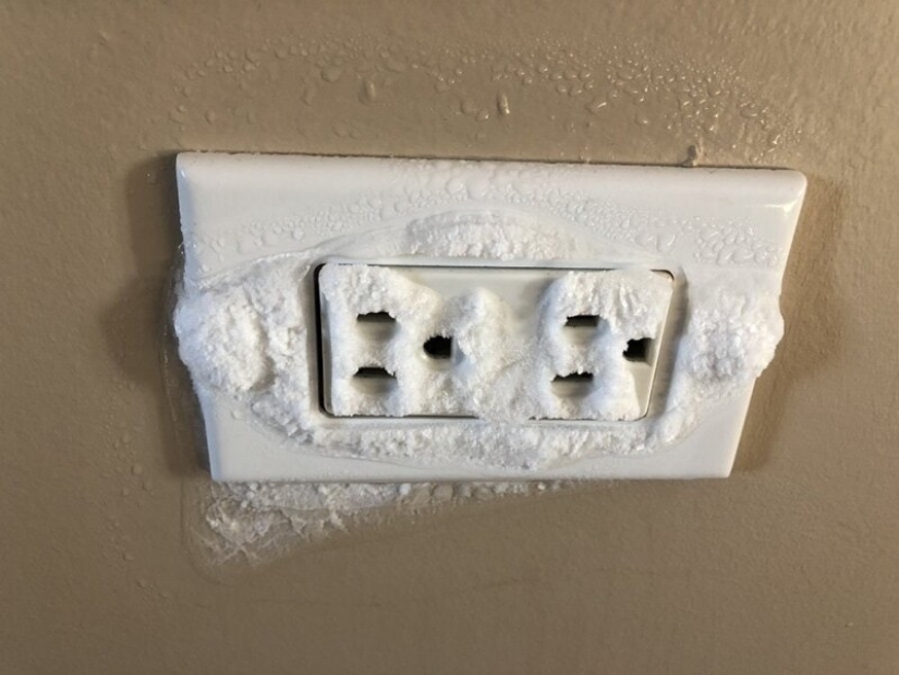 22 photos that show the harsh tricks of frost