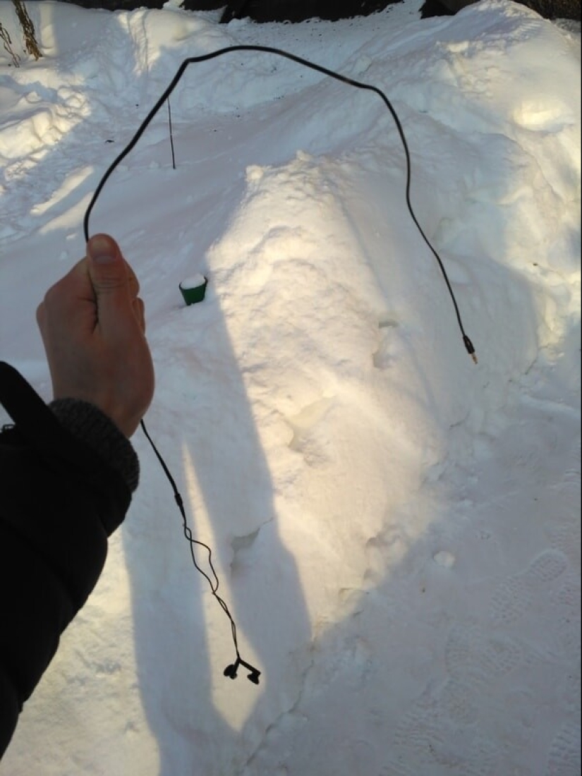 22 photos that show the harsh tricks of frost