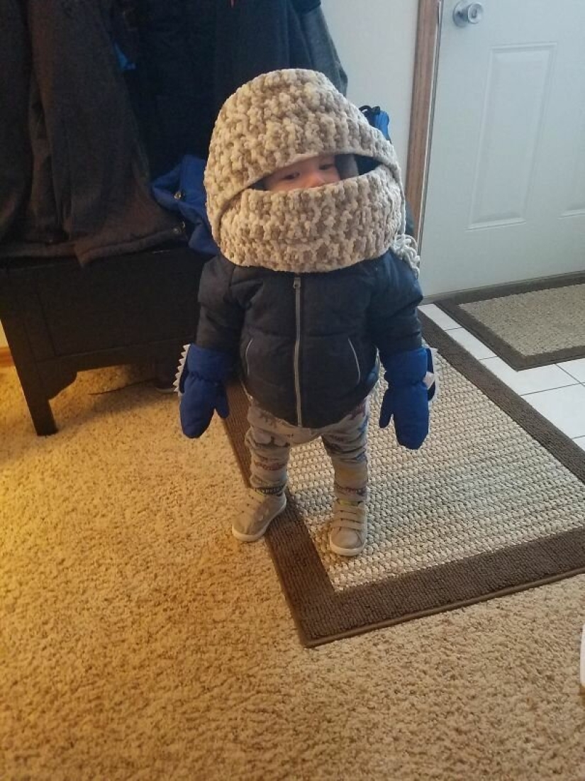 22 photos that show the harsh tricks of frost