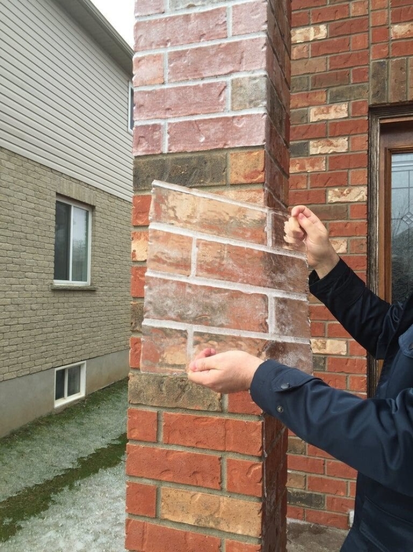 22 photos that show the harsh tricks of frost