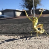 23 fotos aterradoras en las que la naturaleza puede asustar mucho a una persona