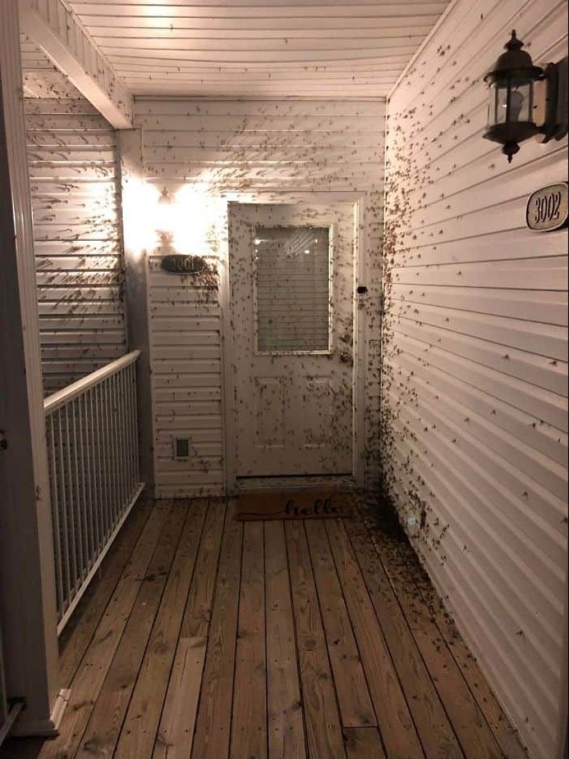 23 terrifying photos in which nature can greatly scare a person 23 terrifying photos in which nature can greatly scare a person