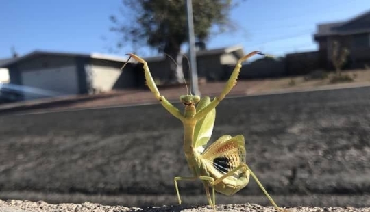 23 terrifying photos in which nature can greatly scare a person 23 terrifying photos in which nature can greatly scare a person