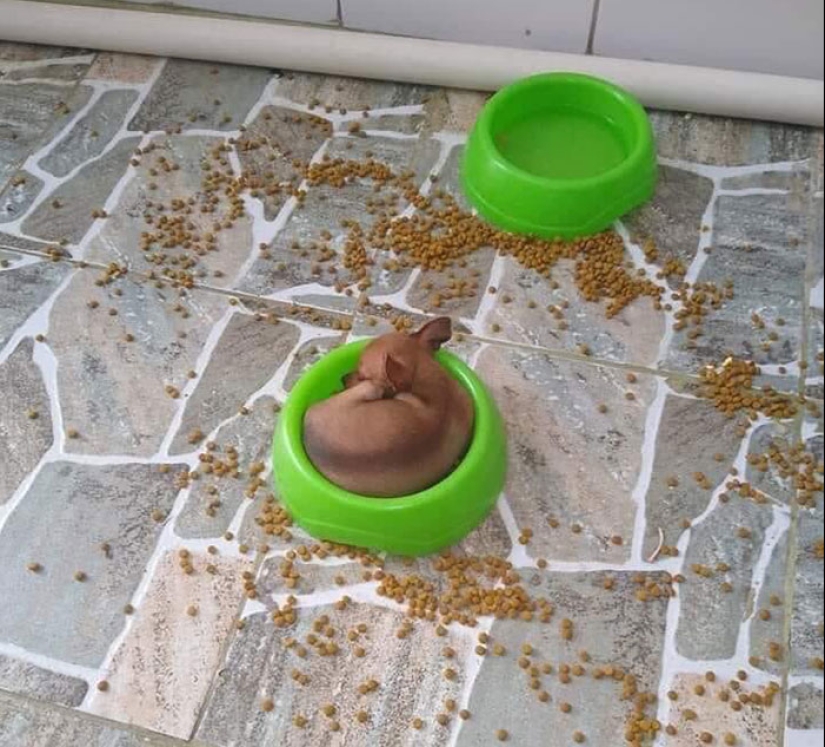 24 ocasiones en las que la gente se sorprendió tanto con la perfección con la que se alinearon las cosas que tuvieron que documentarlo 24 ocasiones en las que la gente se sorprendió tanto con la perfección con la que se alinearon las cosas que tuvieron que documentarlo