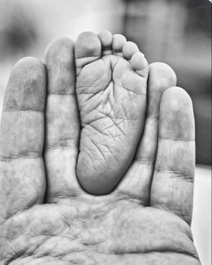 24 ocasiones en las que la gente se sorprendió tanto con la perfección con la que se alinearon las cosas que tuvieron que documentarlo 24 ocasiones en las que la gente se sorprendió tanto con la perfección con la que se alinearon las cosas que tuvieron que documentarlo