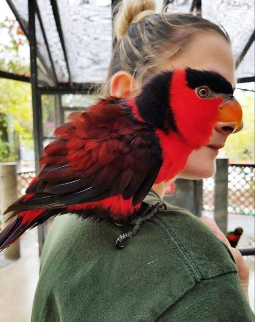 24 Times People Were So Surprised With How Perfectly Things Lined Up, They Just Had To Document It