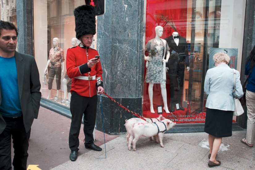 25 best street photos of march 25 best street photos of march