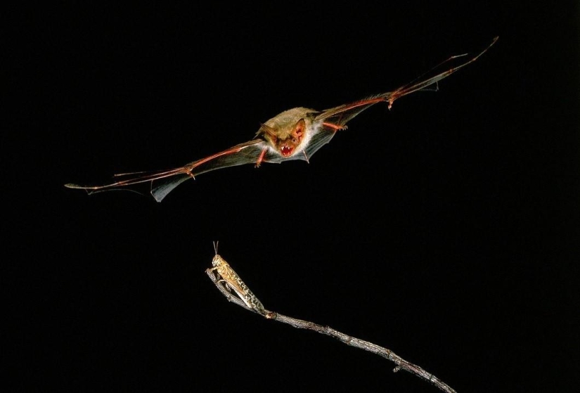 25 most successful shots of June