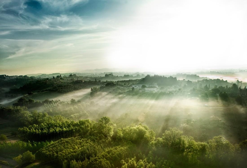 25 most successful shots of June