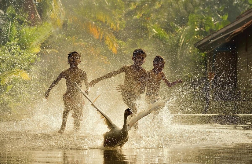 25 most successful shots of June