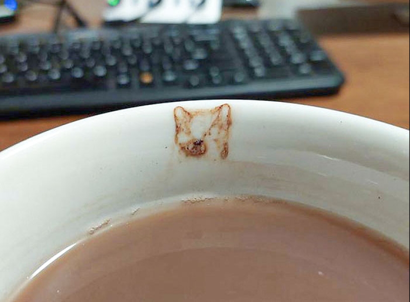 25 Of The Most Fascinating And Unexpected Examples Of Pareidolia Shared By People Online 25 Of The Most Fascinating And Unexpected Examples Of Pareidolia Shared By People Online