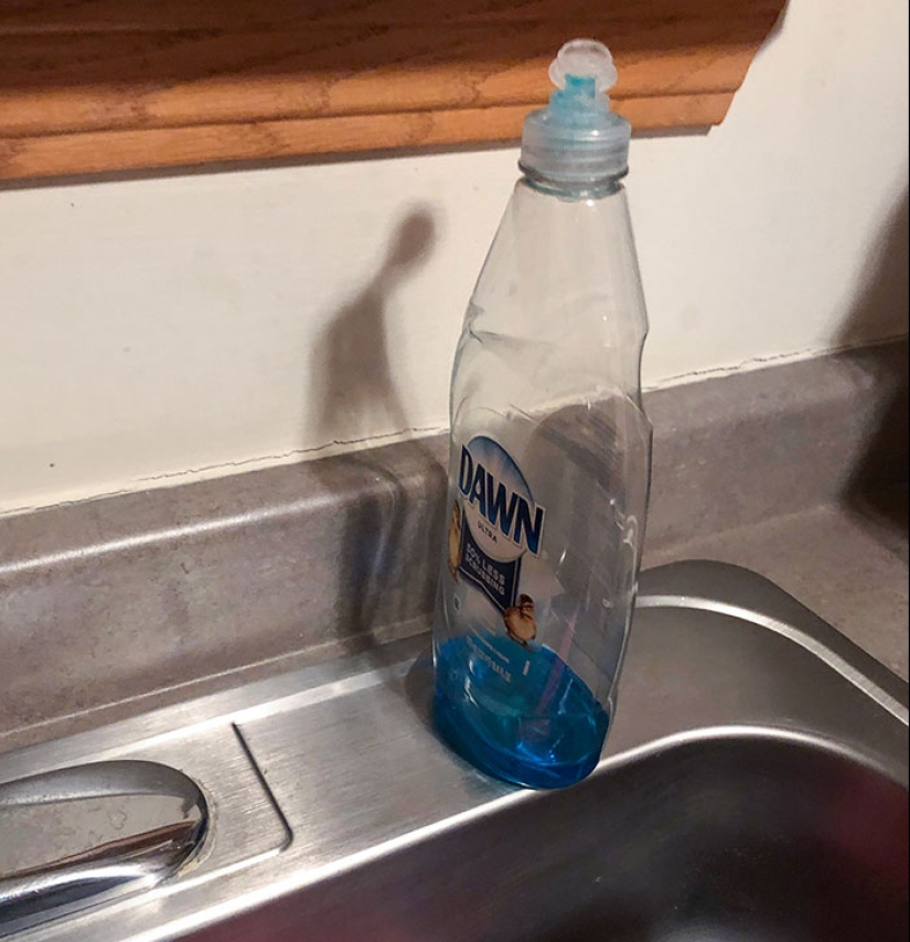 25 Of The Most Fascinating And Unexpected Examples Of Pareidolia Shared By People Online 25 Of The Most Fascinating And Unexpected Examples Of Pareidolia Shared By People Online