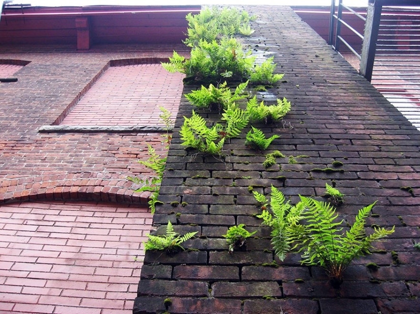 25 photos that nature is strongest