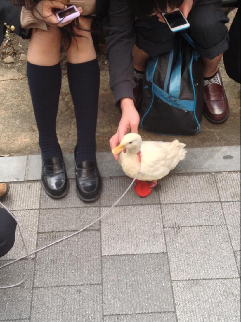 25 reasons to visit Japan 25 reasons to visit Japan