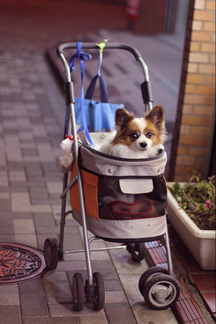 25 reasons to visit Japan 25 reasons to visit Japan